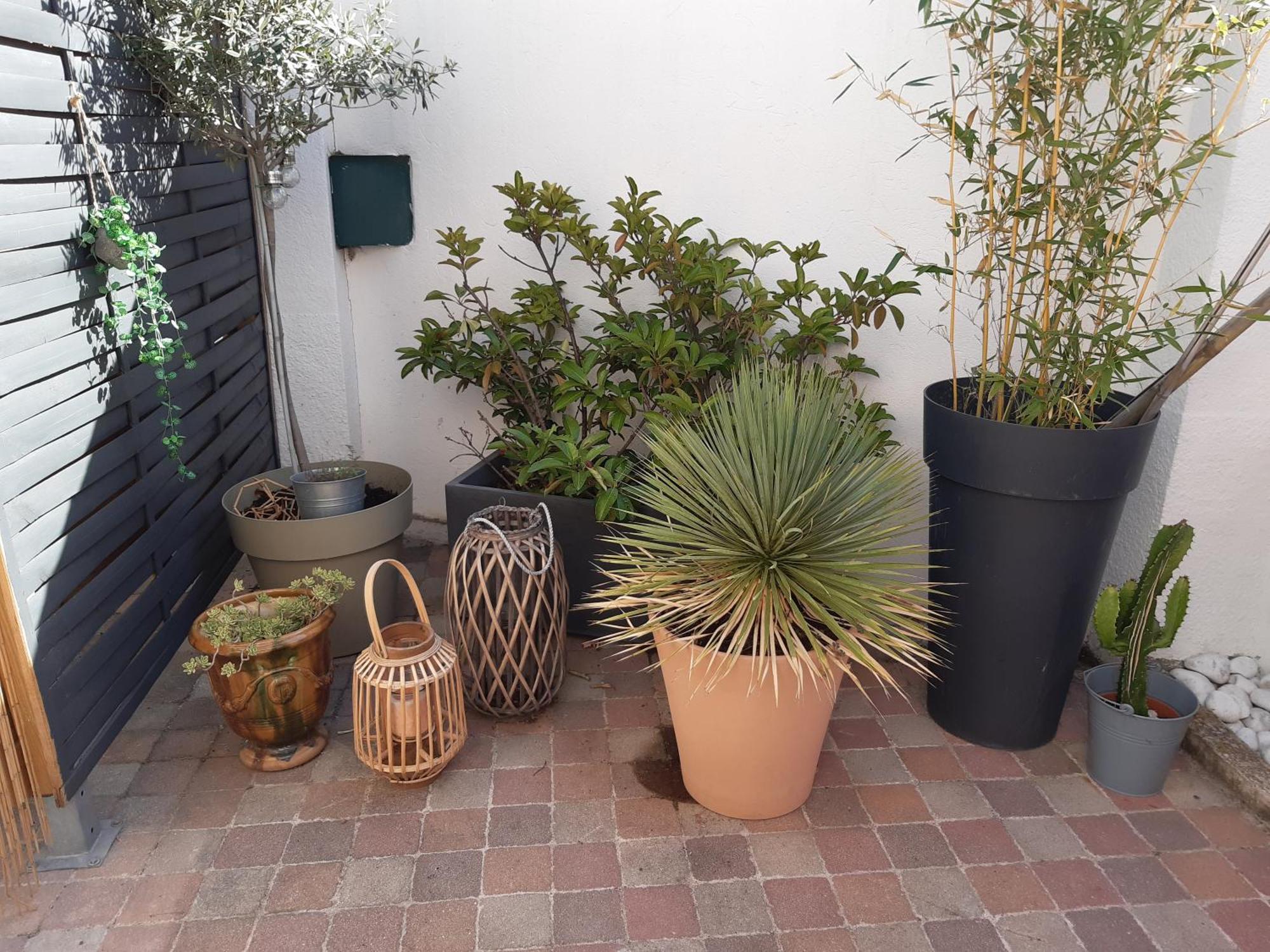 Grand Studio Avec Patio Marseille Eksteriør billede